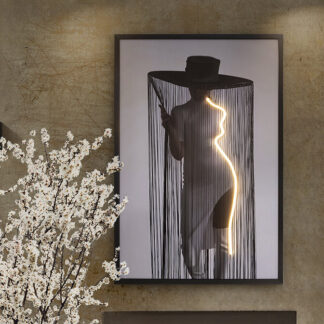 DIVA- CUADRO LUZ LED 80X120