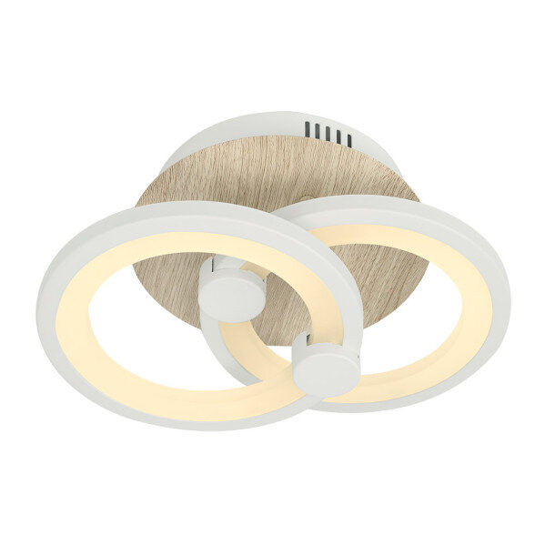 Plafon Sydney 32w 3000-4000-6500k Blanco/madera Clara 14x 30x20cm 4160 Lm Remoto,regulable,memoria - Image 2