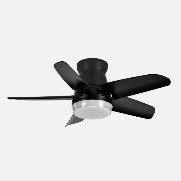 Ventilador Dc Neutron 24w 2400lm Negro 5 Aspas 91d 3000k,4500k,6000k, Remoto+temporizador+memoria