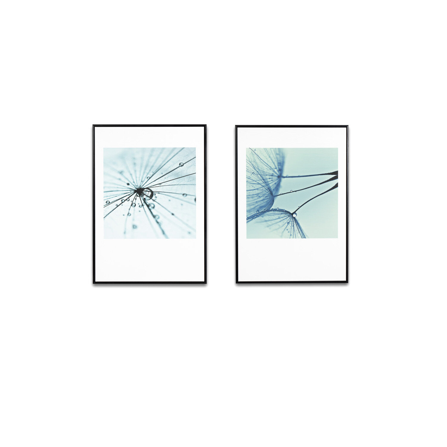 Cuadro DANDELION 1 50x70 cm - Image 2