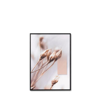 Cuadro DARLING 3 50x70 cm