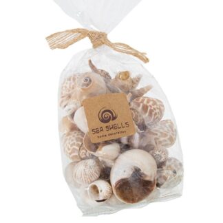 Bolsa Conchas Naturales Surtidas, Peso Aprox:250grs Bolsa:9x6x12/22cm