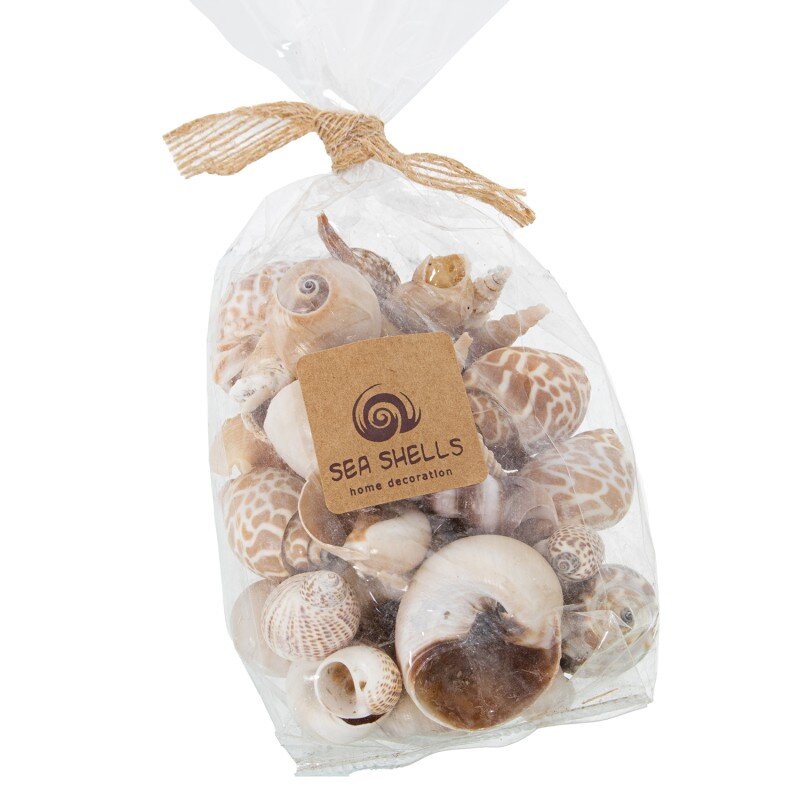 Bolsa Conchas Naturales Surtidas, Peso Aprox:250grs Bolsa:9x6x12/22cm