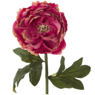 Peonia Poliester Fucsia 55cm
