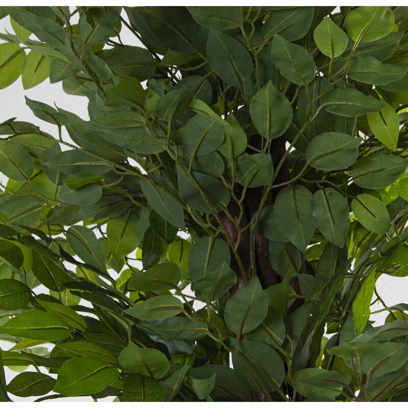 Planta Artificial Pu Ficus 160 Cm. - Image 3