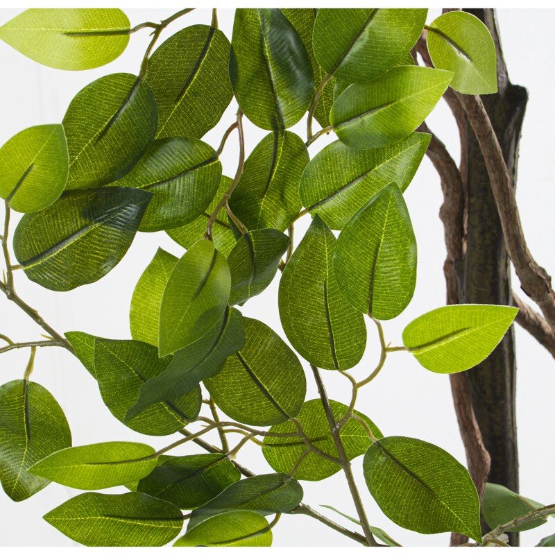 Planta Artificial Pu Ficus 160 Cm. - Image 5