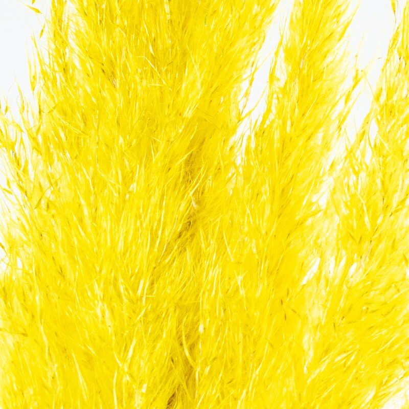 Rama Hierba De Pampa Amarillo Algodón 60cm - Image 2