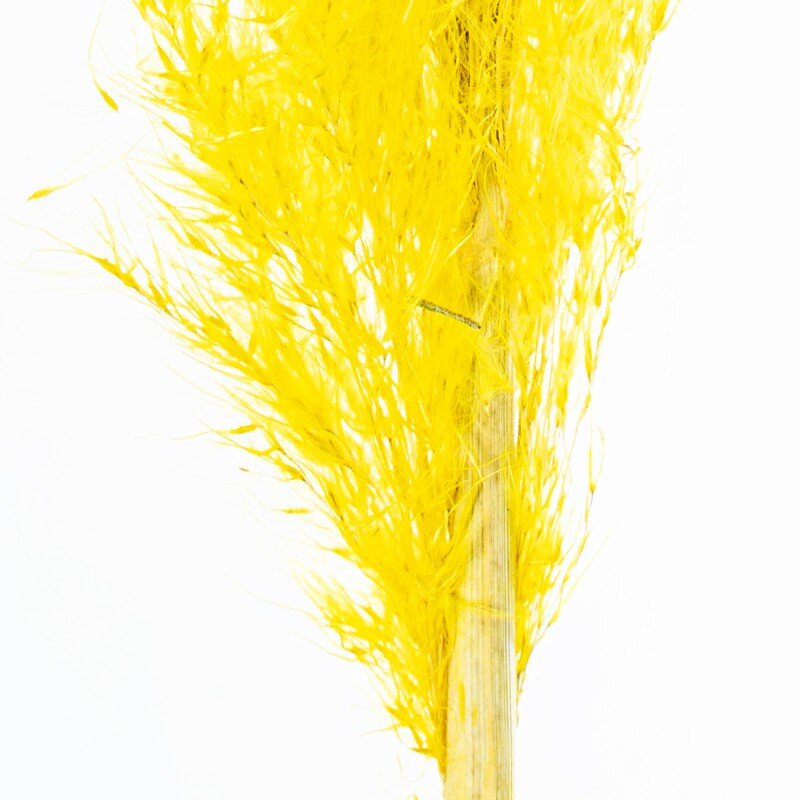 Rama Hierba De Pampa Amarillo Algodón 60cm - Image 3