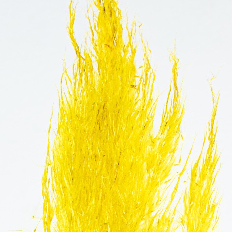 Rama Hierba De Pampa Amarillo Algodón 60cm - Image 4