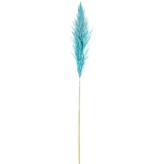Rama Hierba De Pampa Azul Algodón 60cm