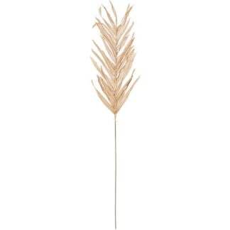 Rama Hojas Natural/marrón 100cm