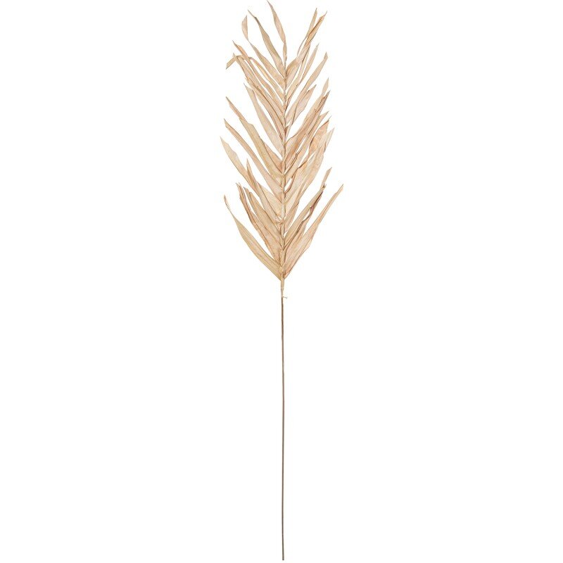 Rama Hojas Natural/marrón 100cm
