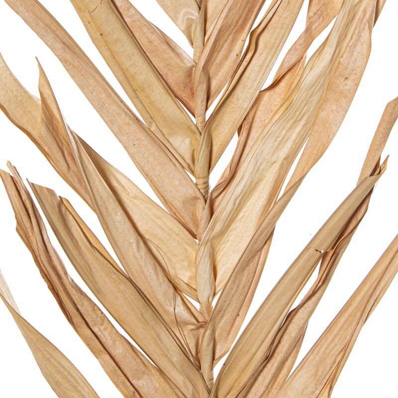 Rama Hojas Natural/marrón 100cm - Image 3