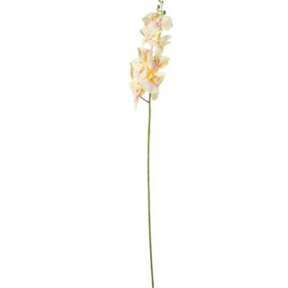 Rama Orquídeas Amarilla Poliéster 100cm