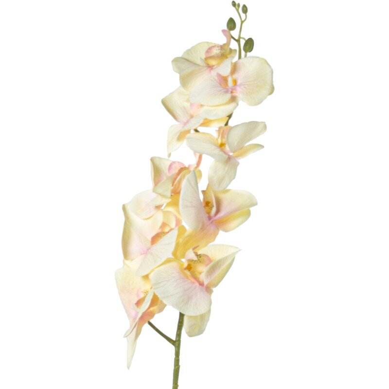 Rama Orquídeas Amarilla Poliéster 100cm - Image 2