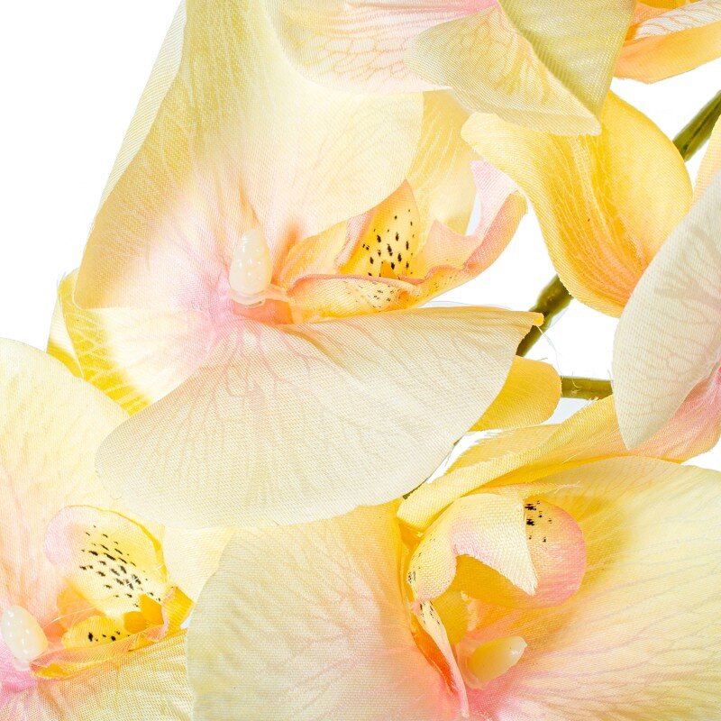Rama Orquídeas Amarilla Poliéster 100cm - Image 3