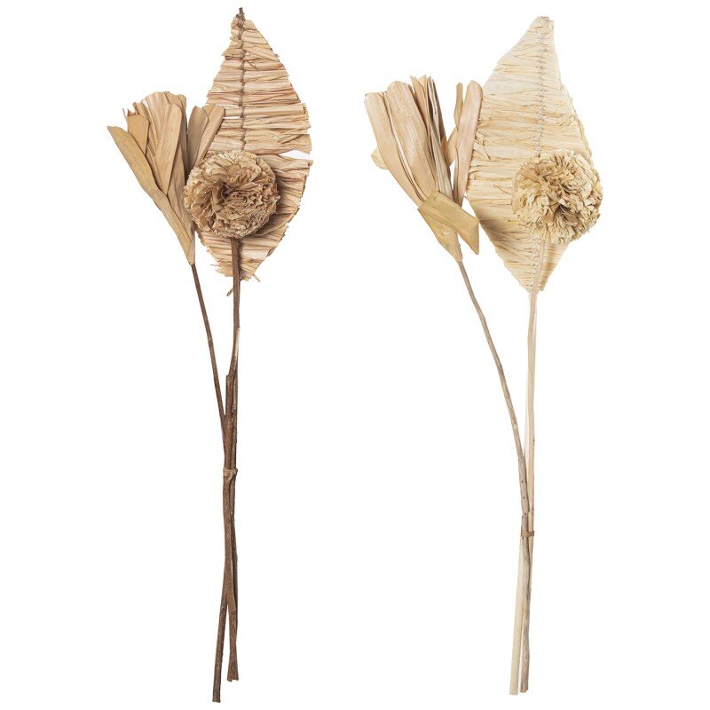 Ramo Hojas/flores Secas Natural 60cm