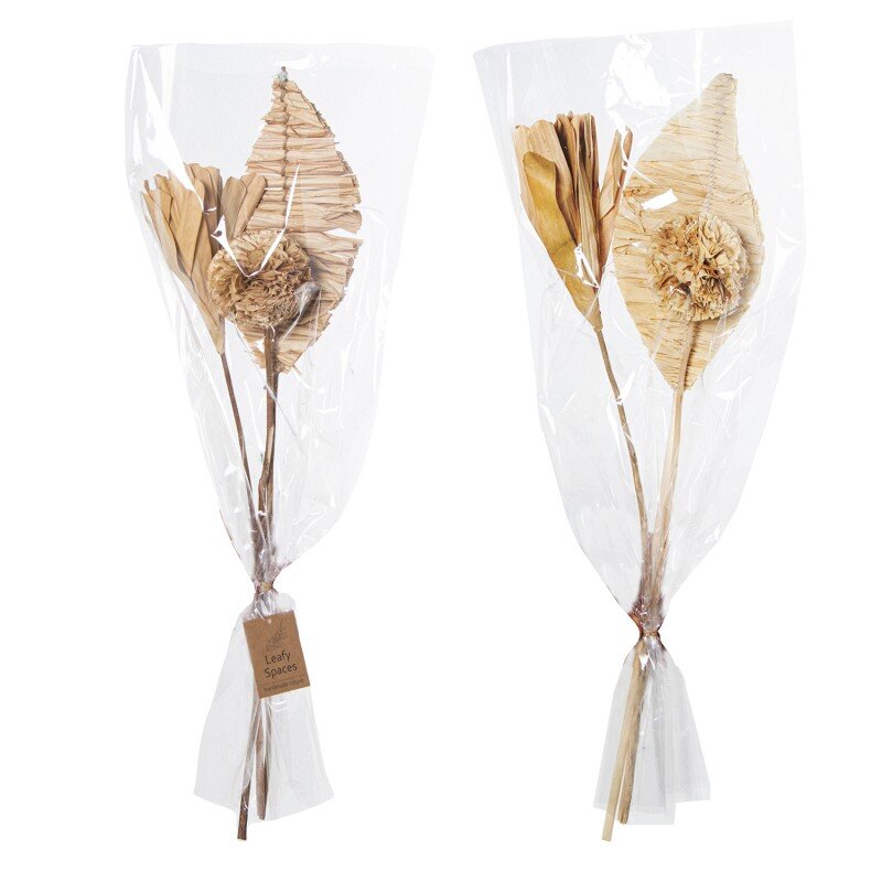 Ramo Hojas/flores Secas Natural 60cm - Image 2