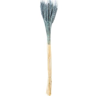 Ramo Varas Trigo Azules Natural Preservada 70cm