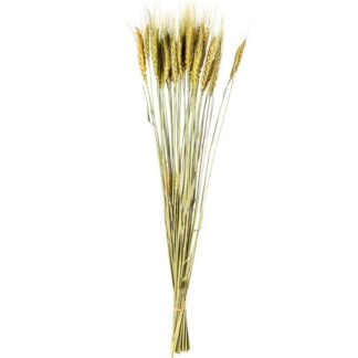 Ramo Varas Trigo Beige