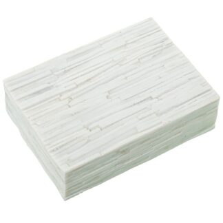 Caja Resina De Hueso C/base De Madera 18x5x13cm