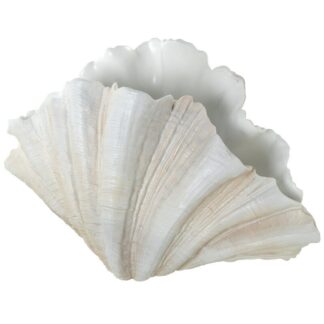 Figura Jarron Resina Concha 57x31x36cm