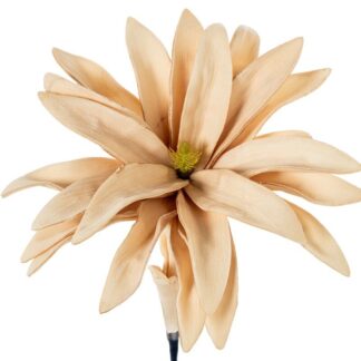 Flor Artificial Beige Espuma Eva, Plástico Y Papel Ø20x65cm