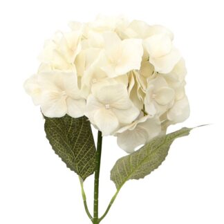 Flor Crema Con Tallo Natural 66cm