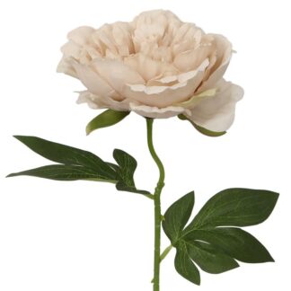 Flor Rosa Con Tallo Natural 52cm