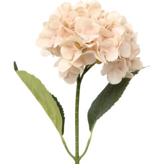 Flor Rosa Con Tallo Natural 64cm