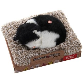 Peluche C/sonido Gato Mini 14x13x5,5cm