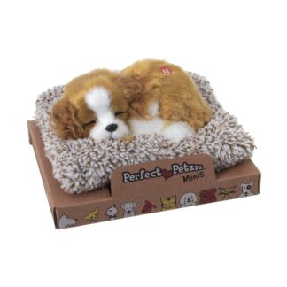 Peluche C/sonido Perro Mini Cavalier King Charles 14x13x5,5cm, Base:16x13,5x2cm