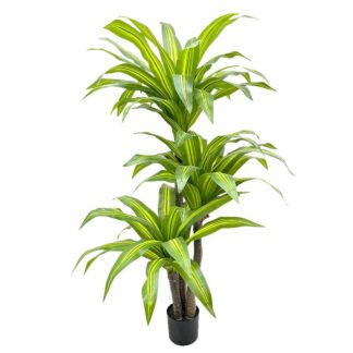 Planta Artificial Dracaena 180cm 180cm