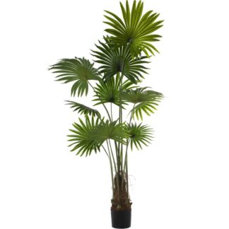 Planta Artificial Pu Palmera180cm 180cm