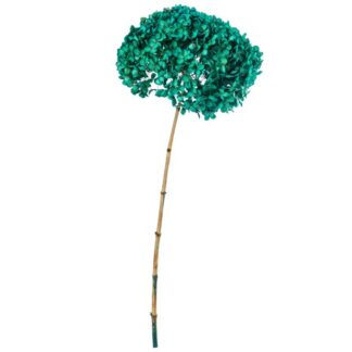 Rama Hortensia Verde Azulado Natural Preservada Ø20x50-60cm