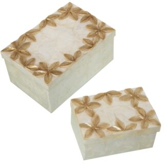 Set 2 Cajas Rect. Nácar Flores Relieve Tostado/natural 21x14x10cm+16x11x8cm