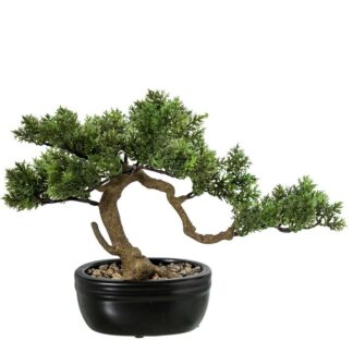 Bonsai Artificial Ciprés 27cm Pe+pvc C/maceta Cerámica 36x20x27cm Maceta:15x10x7cm