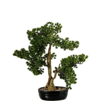 Bonsai Artificial Pino 48cm Pe+pvc C/maceta Cerámica 48x26x48cm Maceta:19x13x7cm