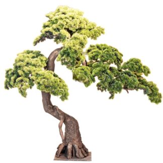 Bonsai Pino Artificial 180cm Pe+pvc 202x86x180cm Base:45x45cm