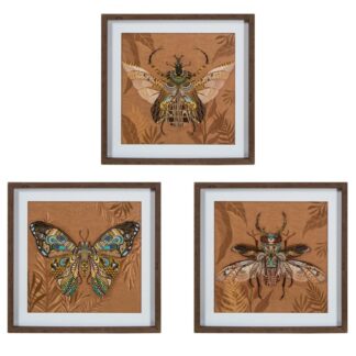 Cuadro Lienzo Insectos Marco Madera Natural 40x40x3cm
