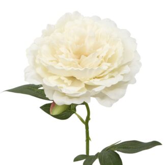Flor Crema Con Tallo Natural 52cm