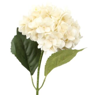 Flor Crema Con Tallo Natural 64cm