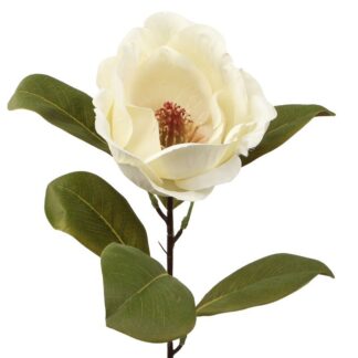 Flor Crema Con Tallo Natural 70cm