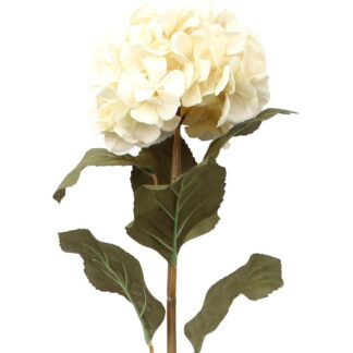 Flor Crema Con Tallo Natural 85cm