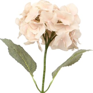 Flor Rosa Con Tallo Natural 66cm