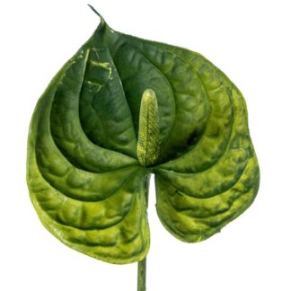 Hoja Verde Poliéster Anthurium Grand Slam 64cm