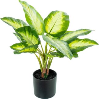 Planta Artificial Aglaonema 50cm-4 Horquillas 50cm