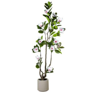 Planta Artificial Magnolia 215cm Pe+pvc 90x70x215cm Maceta:ø27x26,5cm