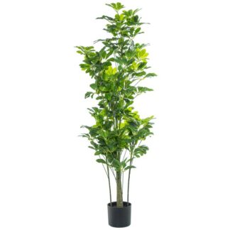 Planta Artificial Schefflera 155cm 155cm