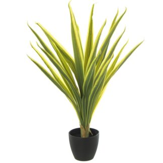 Planta Artificial Tronco De Brasil 75cm 75cm Altura, Material: Pu